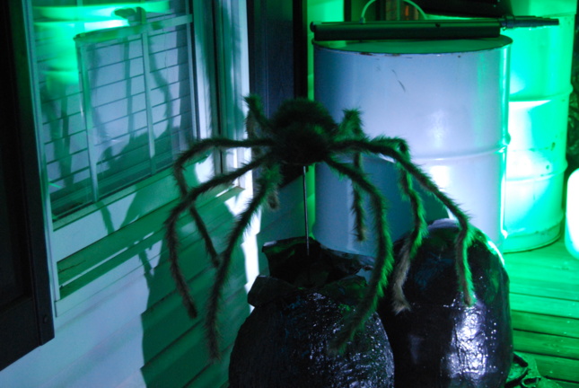Alien spider jumping out of it's egg.
